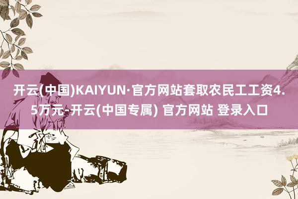 开云(中国)KAIYUN·官方网站套取农民工工资4.5万元-开云(中国专属) 官方网站 登录入口