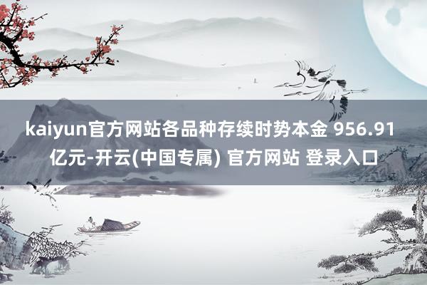 kaiyun官方网站各品种存续时势本金 956.91 亿元-开云(中国专属) 官方网站 登录入口