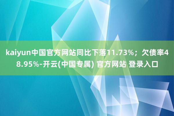kaiyun中国官方网站同比下落11.73%；欠债率48.95%-开云(中国专属) 官方网站 登录入口