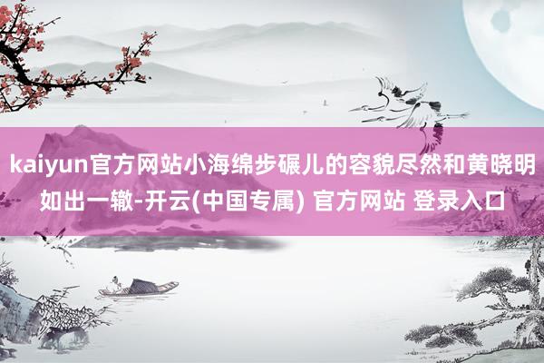 kaiyun官方网站小海绵步碾儿的容貌尽然和黄晓明如出一辙-开云(中国专属) 官方网站 登录入口