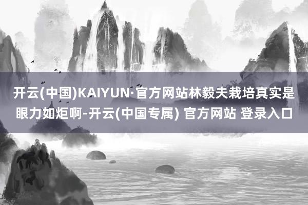 开云(中国)KAIYUN·官方网站林毅夫栽培真实是眼力如炬啊-开云(中国专属) 官方网站 登录入口